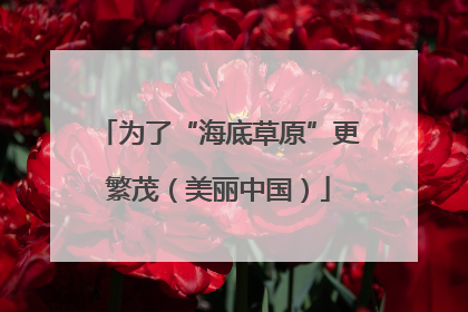 为了“海底草原”更繁茂（美丽中国）