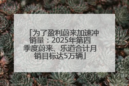 为了盈利蔚来加速冲销量：2025年第四季度蔚来、乐道合计月销目标达5万辆
