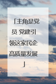 主角是党员 党建引领这家民企高质量发展