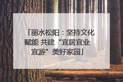 丽水松阳：坚持文化赋能 共建“宜居宜业宜游”美好家园