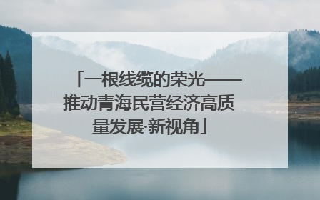 一根线缆的荣光——推动青海民营经济高质量发展·新视角