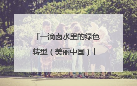 一滴卤水里的绿色转型（美丽中国）