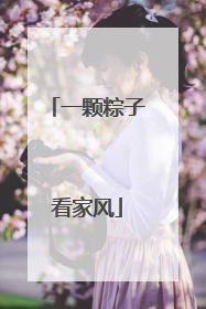 一颗粽子看家风
