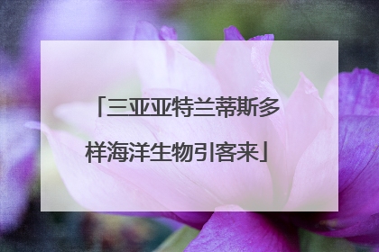 三亚亚特兰蒂斯多样海洋生物引客来