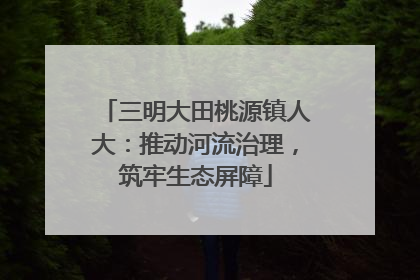 三明大田桃源镇人大：推动河流治理，筑牢生态屏障