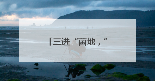 三进“菌地，”黑木耳法庭“呵护乡村梦想”