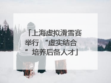 上海虚拟滑雪赛举行 “虚实结合”培养后备人才