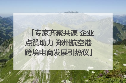 专家齐聚共谋 企业点赞助力 郑州航空港跨境电商发展引热议
