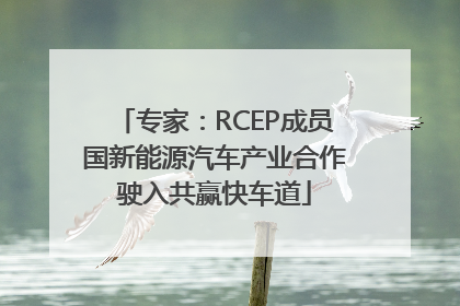 专家：RCEP成员国新能源汽车产业合作驶入共赢快车道