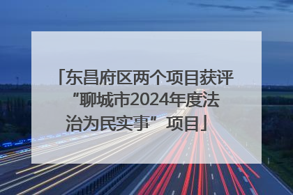 东昌府区两个项目获评“聊城市2024年度法治为民实事”项目