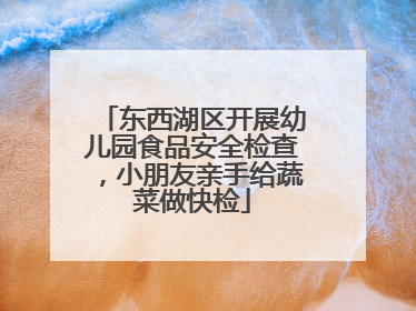 东西湖区开展幼儿园食品安全检查，小朋友亲手给蔬菜做快检