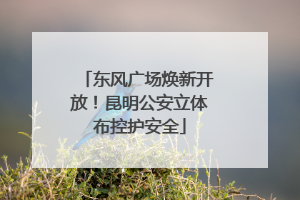 东风广场焕新开放！昆明公安立体布控护安全