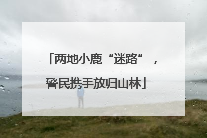 两地小鹿“迷路”，警民携手放归山林