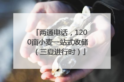 两通电话，1200亩小麦一站式收储（三夏进行时）