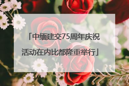 中缅建交75周年庆祝活动在内比都隆重举行