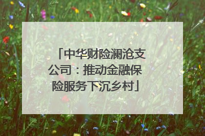 中华财险澜沧支公司：推动金融保险服务下沉乡村