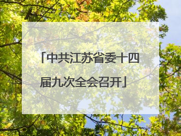 中共江苏省委十四届九次全会召开