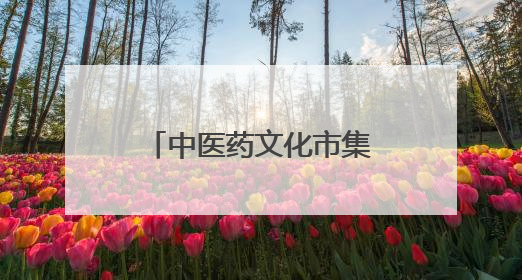 中医药文化市集开进大学校园