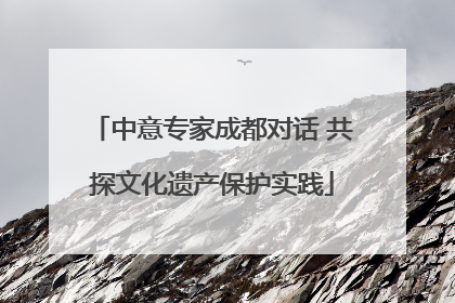 中意专家成都对话 共探文化遗产保护实践