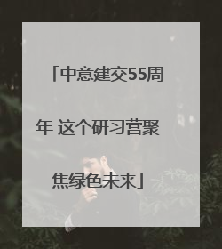 中意建交55周年 这个研习营聚焦绿色未来