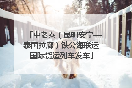 中老泰（昆明安宁—泰国拉廊）铁公海联运国际货运列车发车
