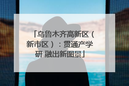 乌鲁木齐高新区（新市区）：贯通产学研 融出新图景