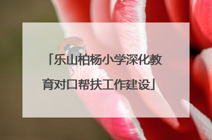 乐山柏杨小学深化教育对口帮扶工作建设
