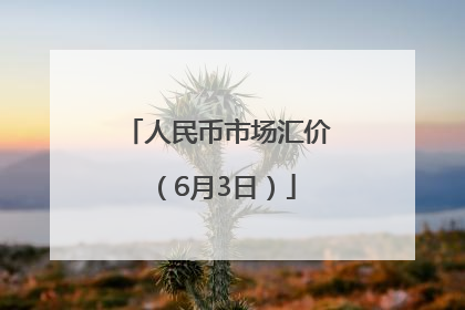 人民币市场汇价（6月3日）