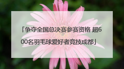 争夺全国总决赛参赛资格 超600名羽毛球爱好者竞技成都