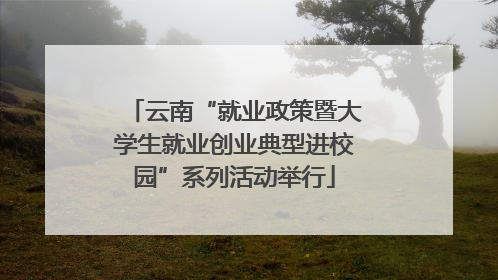 云南“就业政策暨大学生就业创业典型进校园”系列活动举行