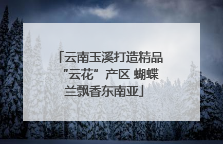 云南玉溪打造精品“云花”产区 蝴蝶兰飘香东南亚