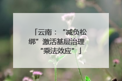 云南：“减负松绑”激活基层治理“乘法效应”