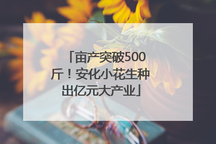亩产突破500斤！安化小花生种出亿元大产业