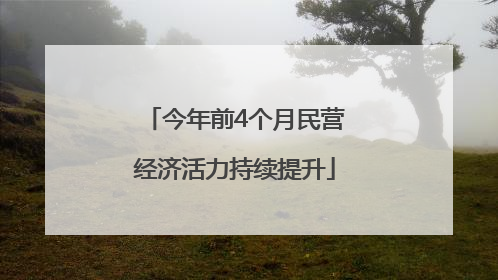 今年前4个月民营经济活力持续提升