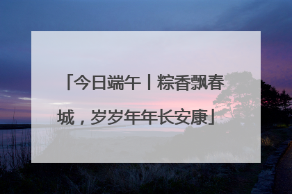 今日端午丨粽香飘春城，岁岁年年长安康