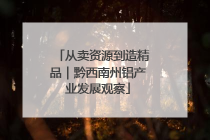 从卖资源到造精品｜黔西南州铝产业发展观察