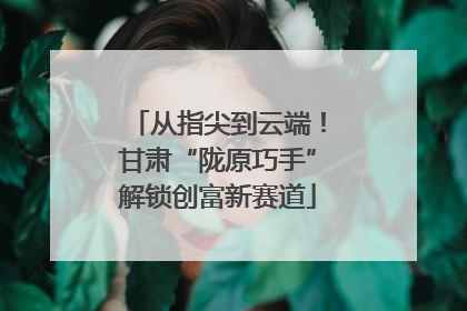 从指尖到云端！甘肃“陇原巧手”解锁创富新赛道
