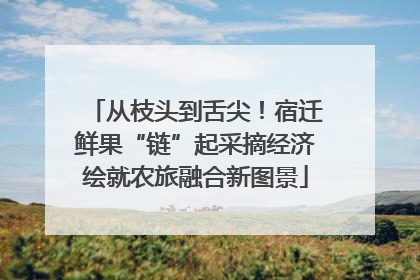 从枝头到舌尖！宿迁鲜果“链”起采摘经济绘就农旅融合新图景