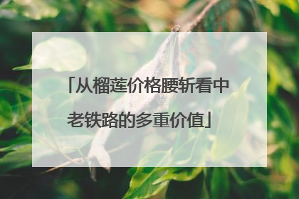 从榴莲价格腰斩看中老铁路的多重价值