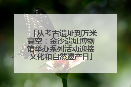 从考古遗址到万米高空：金沙遗址博物馆举办系列活动迎接文化和自然遗产日
