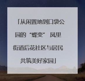 从闲置地到口袋公园的“蝶变” 凤里街道后花社区与居民共筑美好家园