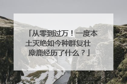从零到过万！一度本土灭绝如今种群复壮 麋鹿经历了什么？