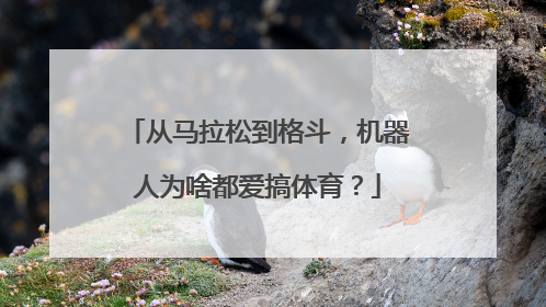 从马拉松到格斗，机器人为啥都爱搞体育？