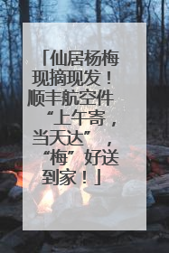 仙居杨梅现摘现发！顺丰航空件“上午寄，当天达”，“梅”好送到家！