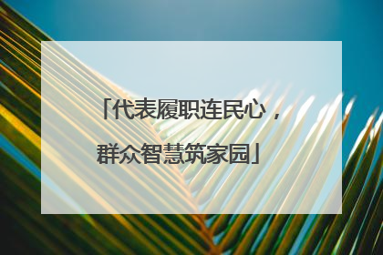 代表履职连民心，群众智慧筑家园
