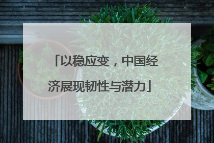 以稳应变，中国经济展现韧性与潜力