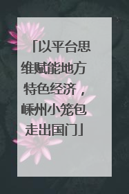 以平台思维赋能地方特色经济，嵊州小笼包走出国门