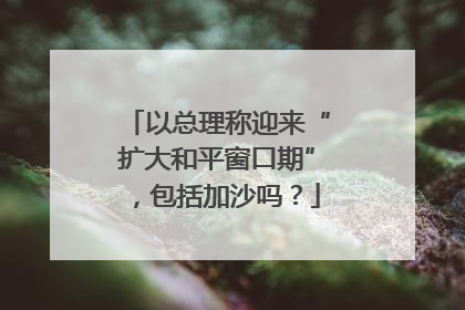 以总理称迎来“扩大和平窗口期”，包括加沙吗？