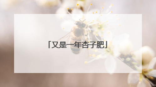 又是一年杏子肥