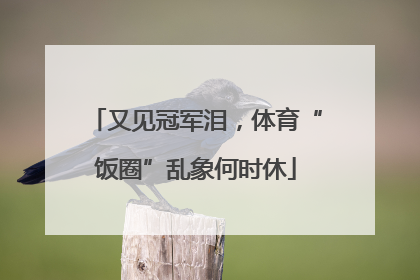又见冠军泪，体育“饭圈”乱象何时休